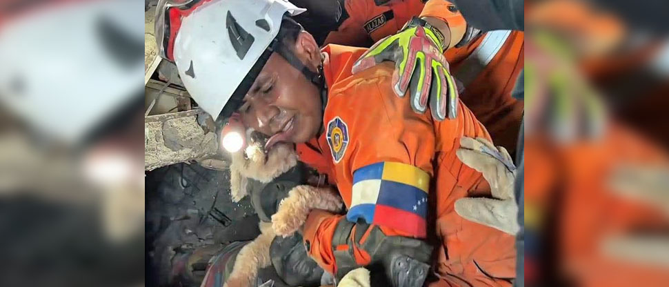 “Lengüetazos de agradecimiento”: rescatistas salvadoreños salvan la vida de perrita en Venezuela