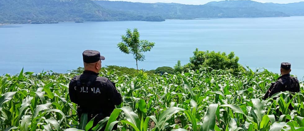 PNC realiza incursiones en diferentes zonas agrícolas del país para garantizar seguridad de trabajadores