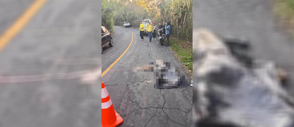 Peatón pierde la vida tras ser arrollado por un automotor sobre la carretera Panorámica