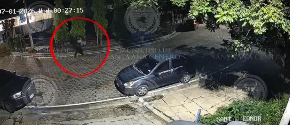 Captan momento en que un hombre abandona a cuatro cachorros en Santa Ana