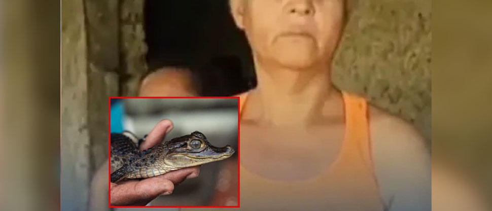 Mujer asegura que tiene dos cocodrilos en su estómago producto de un maleficio