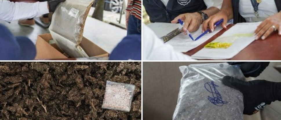 Fiscalía coordina destrucción de droga incautada en diferentes procedimientos