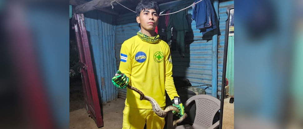Desalojan serpiente de gran tamaño que ingresó a una vivienda en Guazapa