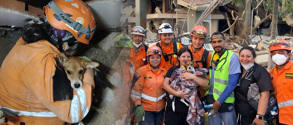 Equipo salvadoreño rescata con vida a perrito tras casi 11 días bajo los escombros en Venezuela