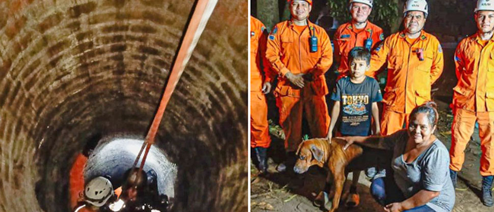 Bomberos rescatan a perrito que cayó a un pozo de 30 metros de profundidad en La Libertad