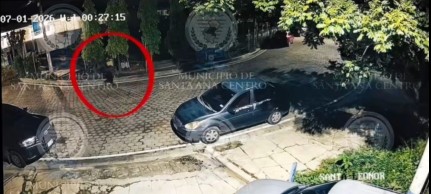 Captan a sujeto abandonando 4 cachorros durante la madrugada en Santa Ana 