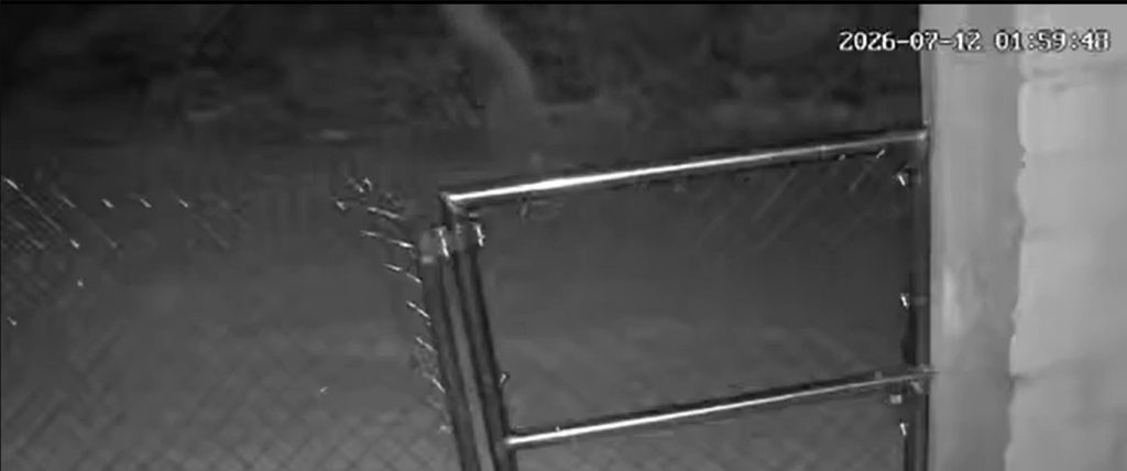 ¿Actividad paranormal? Cámara capta extraña silueta durante la madrugada
