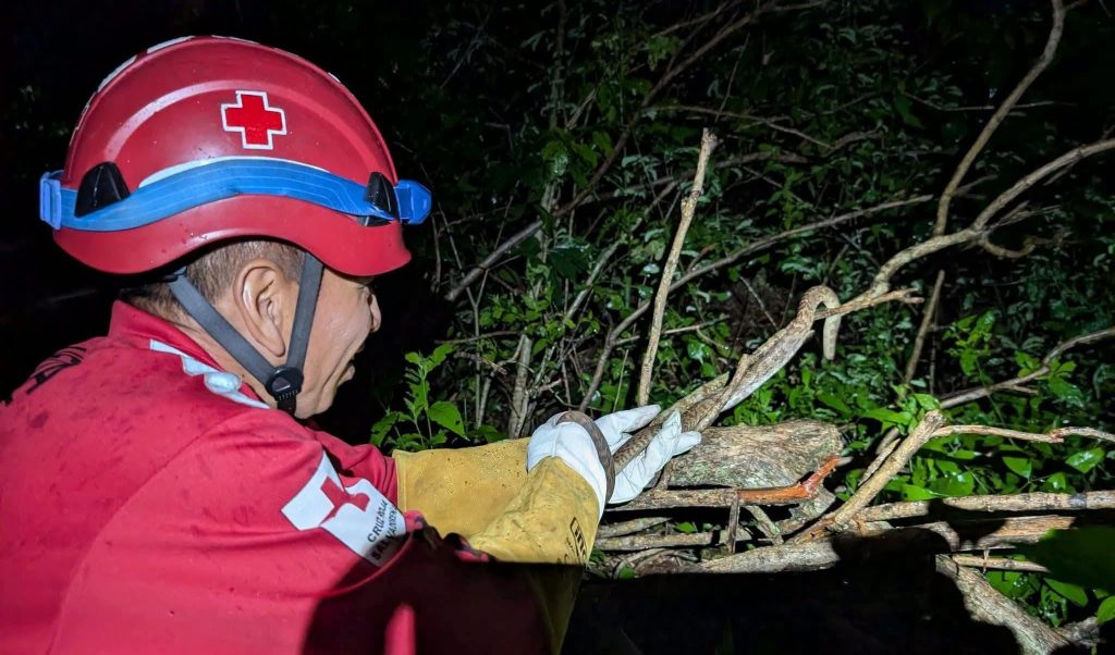 Rescatan a culebra de Lira que se había refugiado en una casa en Quezaltepeque