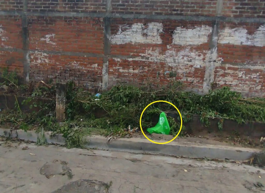 Denuncia a personas inescrupulosas que arrojaron perritos sin vida en la colonia Sarabia, Usulután