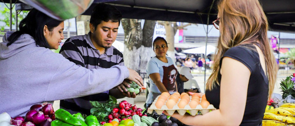 AgroMercados superan los 24 millones de visitas y consolidan su crecimiento en el país