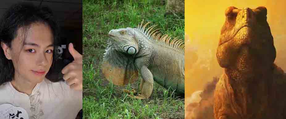 Chino que vive en el país pensó que en El Salvador habían «dinosaurios»