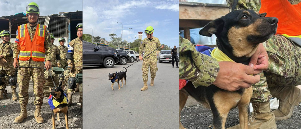 Perrita Fenix es rescatada en Venezuela y será entrenada para integrarse a la UHR de El Salvador