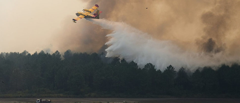 España y Francia: incendios forestales no dan tregua