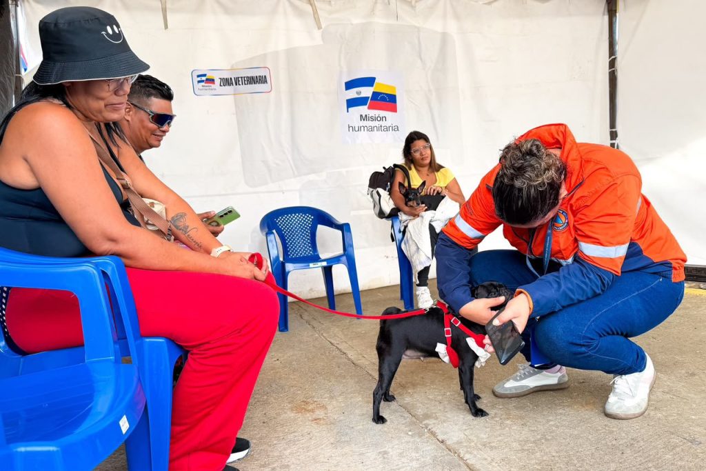 Misión salvadoreña atiende a mascotas afectadas tras terremotos en Venezuela
