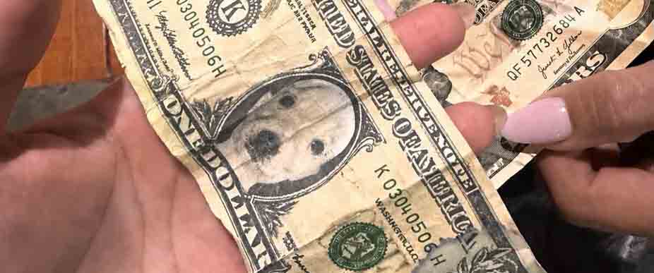 Salvadoreña se siente molesta tras recibir un «perri dólar» en su venta