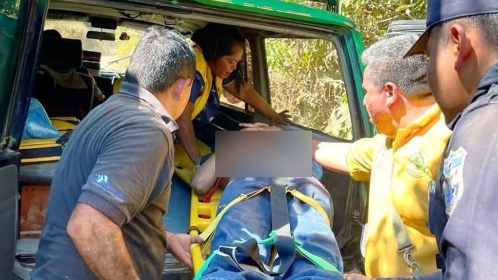 Trasladan de emergencia a un hombre luego de sufrir ataque de enjambre de abejas en Usulután