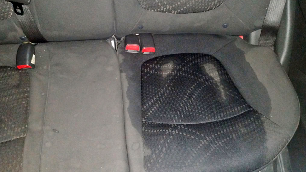Conductor de InDrive denuncia a mujer cuyo hijo se orinó en el carro por un viaje de $1.80