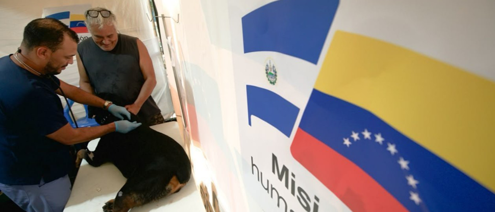 Veterinarios de El Salvador brindan asistencia médica a mascotas en Venezuela