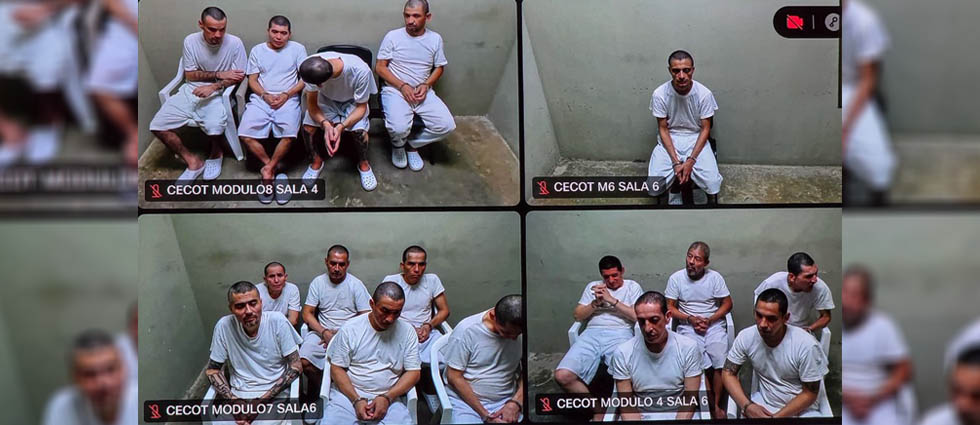 Hasta 65 años de cárcel para peligrosos MS que fueron capturados durante el Régimen de Excepción