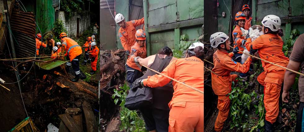 Bomberos y PC ponen a salvo a 08 personas y un perrito tras colapso de enorme árbol en vivienda capitalina