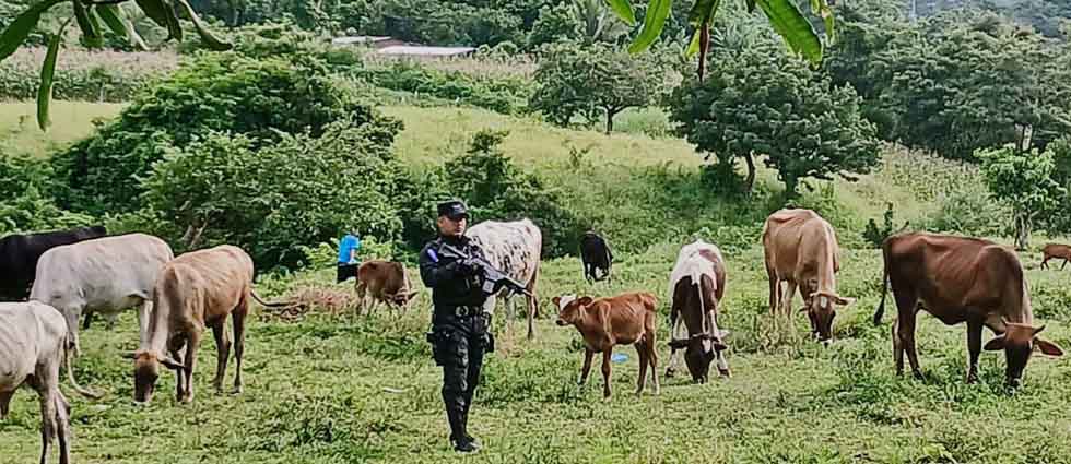 Agentes de la Policía Rural de la PNC patrullan sitios que antes pasaban inadvertidos para las autoridades
