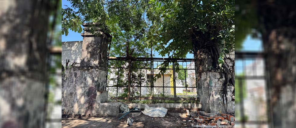 Resurge acceso al Cementerio Los Ilustres que ¡estuvo oculto por más de 50 años!