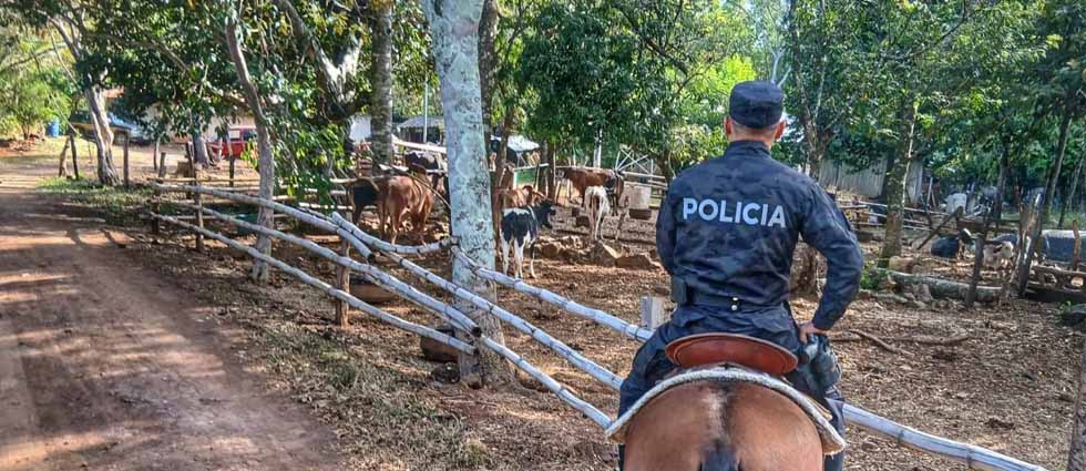 Policía Montada patrulla zonas rurales en Meanguera