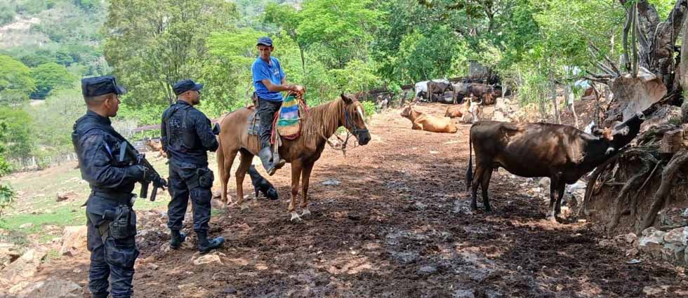 Policía Rural lleva seguridad a zonas ganaderas del país
