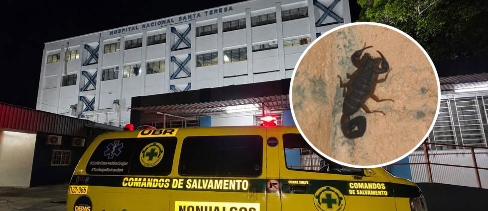 Embarazada acaba en el hospital tras picadura de alacrán en La Paz