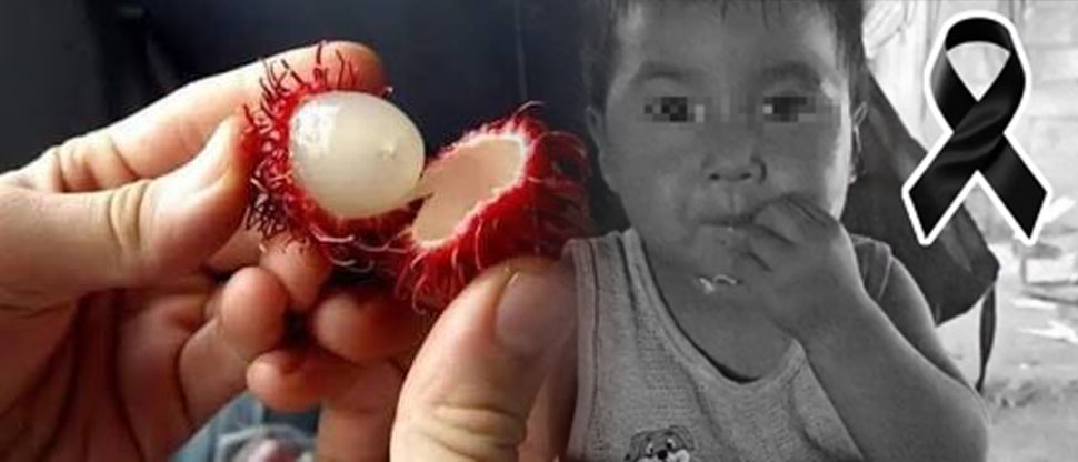 Niño fallece al tragarse accidentalmente una semilla de “licha”