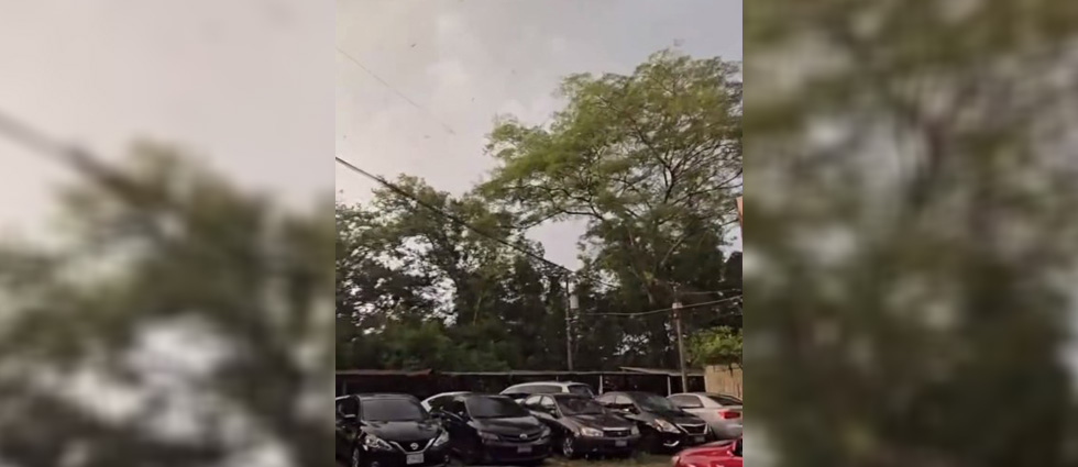 Así fueron los fortísimos vientos que antecedieron las lluvias de la tarde del jueves en San Salvador
