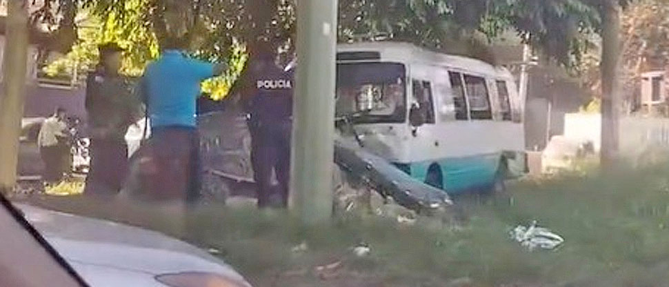 Microbusero atropella a una tortuga en carretera Troncal del Norte