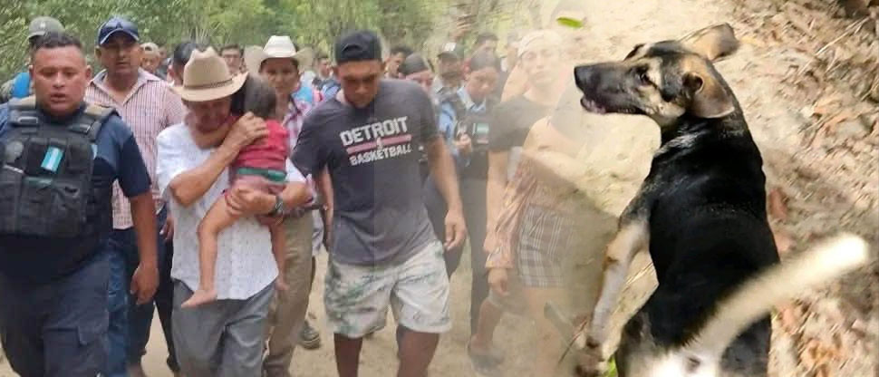 Guardián, el perrito que guio a una familia para localizar a niña reportada como desaparecida