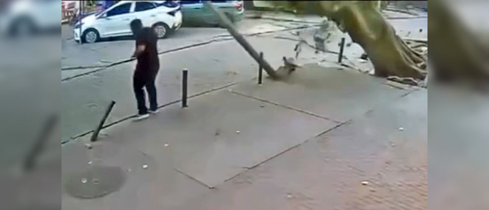 Hombre se salva de milagro de ser aplastado por la caída de un árbol en Río de Janeiro