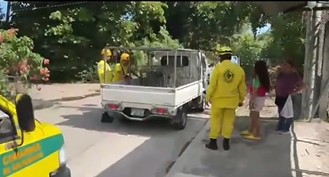 Perro, mezcla de pitbull y rottweiler, ataca a una familia en El Rosario, La Paz 