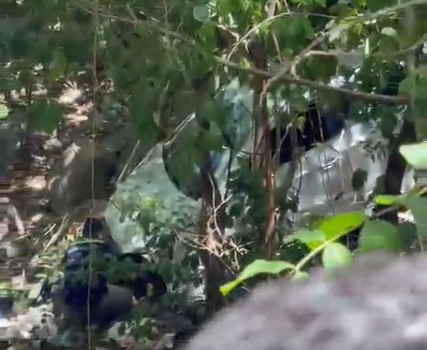 Carro particular cae en barranco de 25 metros de profundidad en carretera a la playa El Espino