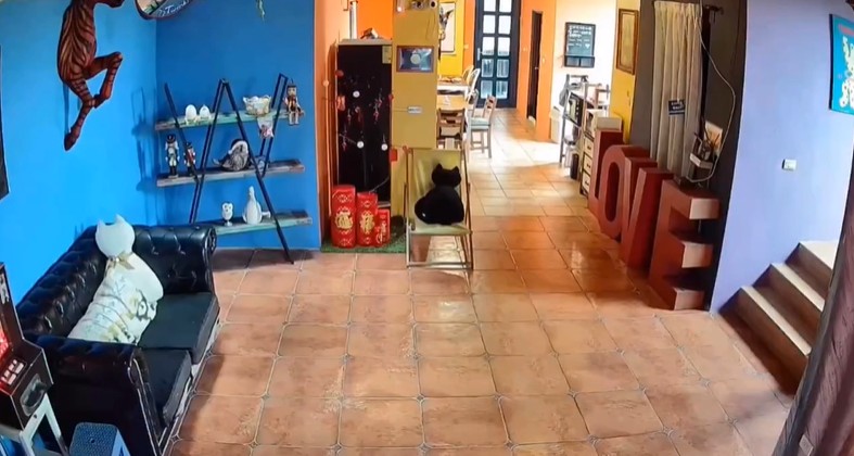 Captan instante cuando fuerte sismo sacude la Isla Verde, Taiwán