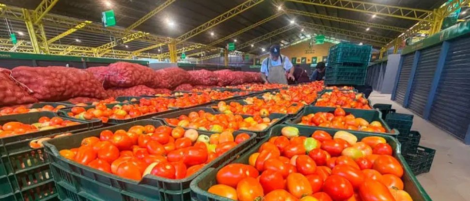 Viceministro de Agricultura asegura que el país tiene respaldada la seguridad alimentaria