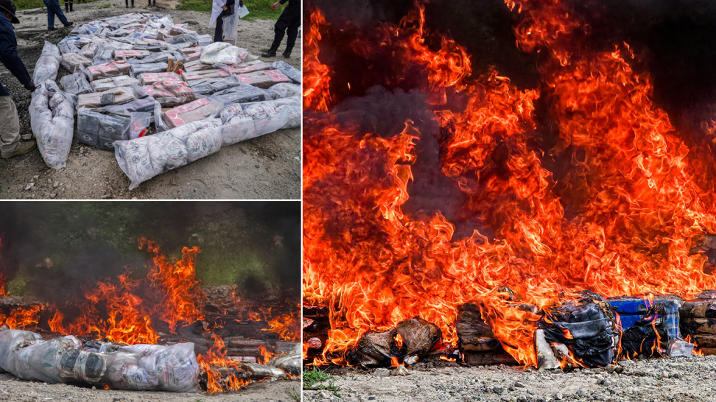 Destruyen más de 1,300 kilos de drogas valorados en $34 millones