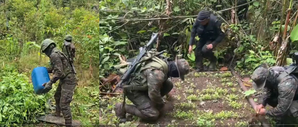 Guatemala: ejército se activa y combaten el crimen organizado en Alta Verapaz