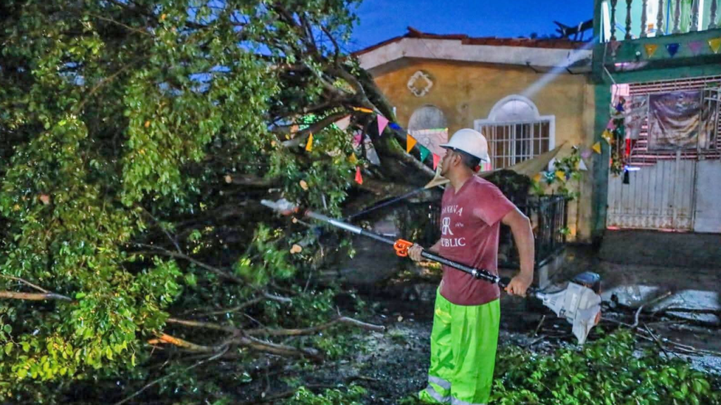 Ilopango: remuevan árbol que cayó debido a las lluvias en colonia Nuevo Horizonte