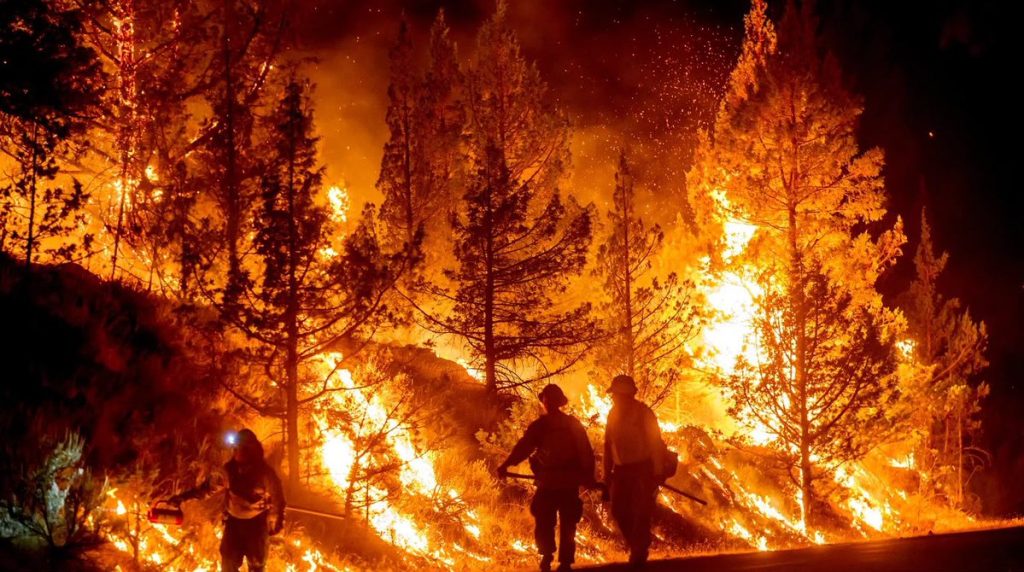 Alerta máxima en EEUU: reportan 94 incendios forestales a nivel nacional