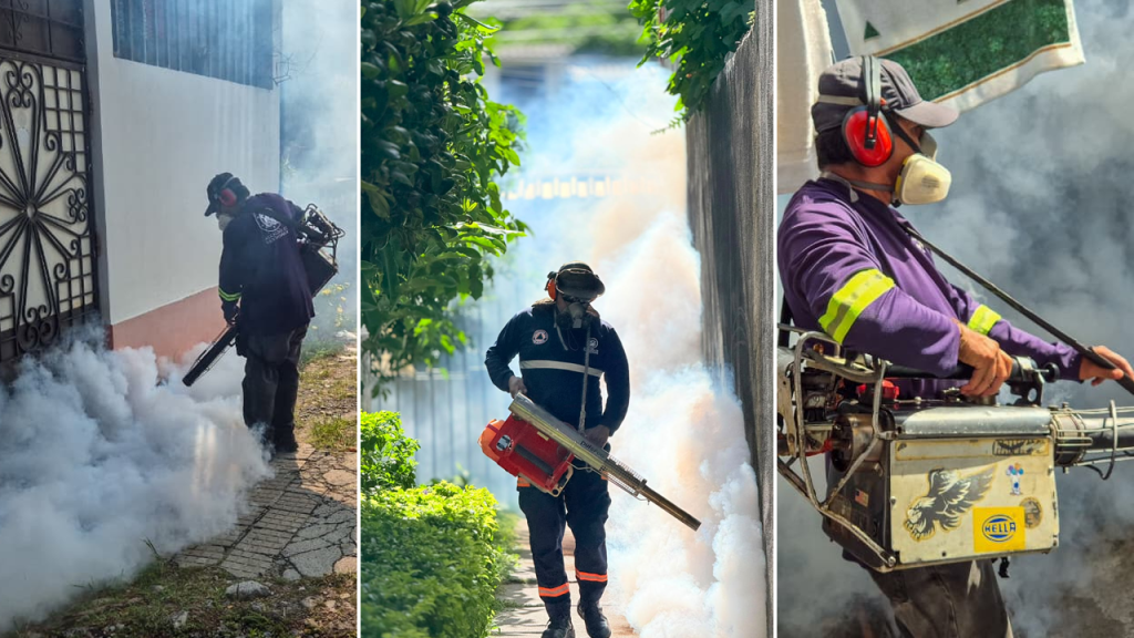 Cientos de familias capitalinas son beneficiadas con jornada de fumigación
