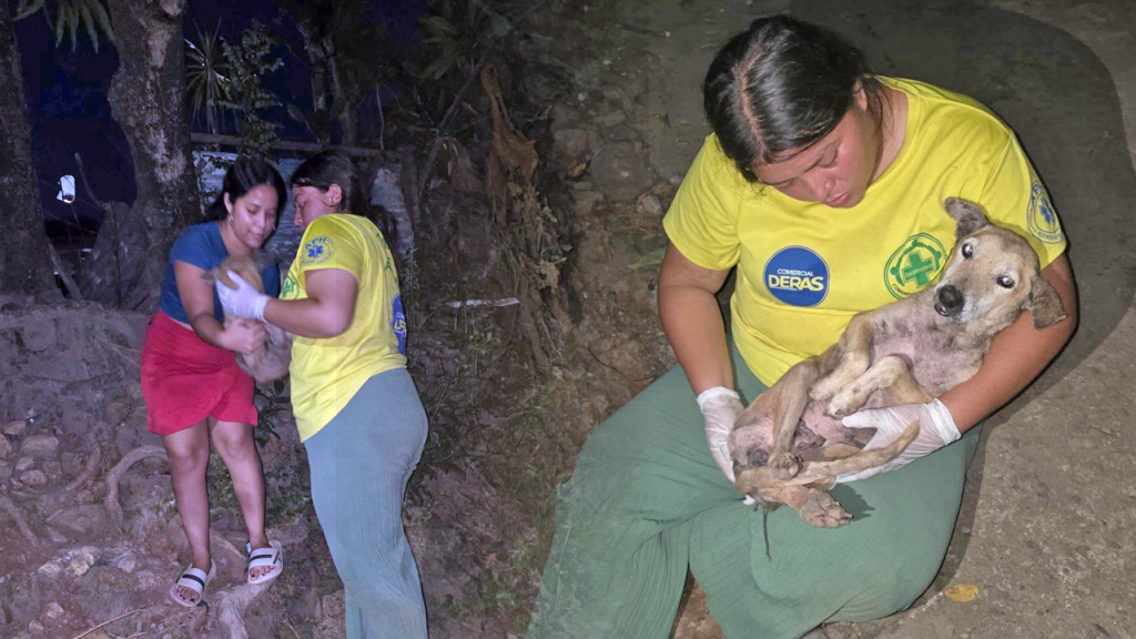 Vocación: aplauden a estudiante de veterinaria que rescató a un perrito en La Paz