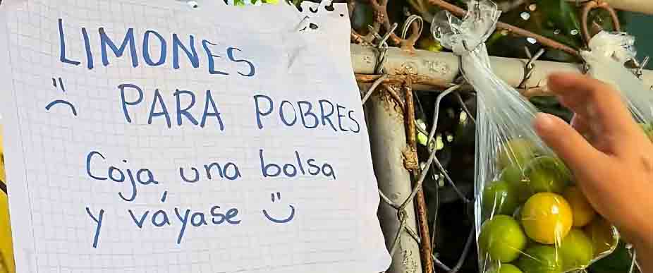 Viralizan ofensivo ofertón de limones