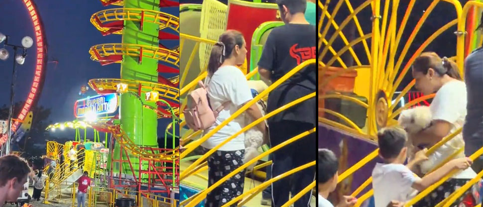 Mujer intentó subirse a los juegos mecánicos de SívarLand con su perrito y se lo prohibieron