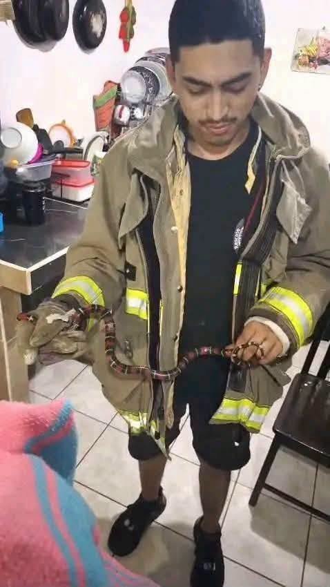 Serpiente irrumpe en la tranquilidad de una vivienda en Nuevo Lourdes