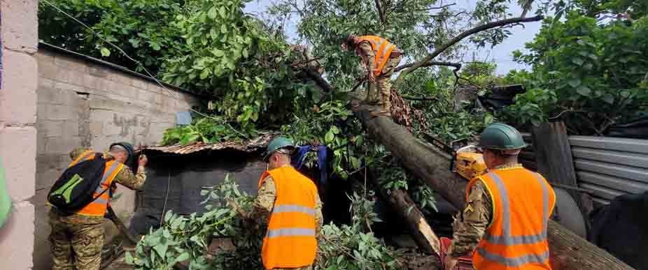 Soldados ayudan a retirar árbol caído sobre una vivienda en Colón