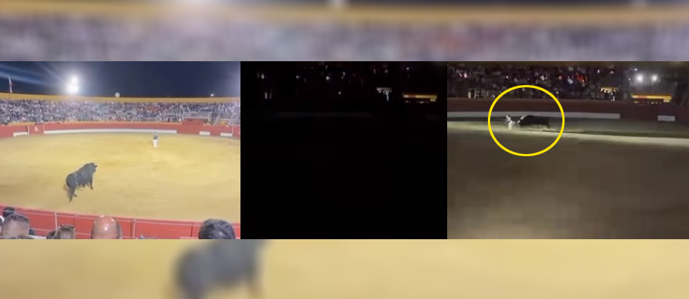 Plaza de toros en España sufre apagón justo en el momento en que un toro embiste al recortador