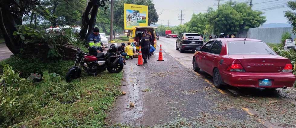 Árbol cae sobre motociclista cuando iba en plena marcha en San Juan Opico